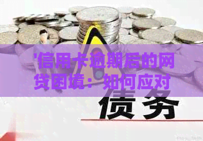  '信用卡逾期后的网贷困境：如何应对和借钱问题'