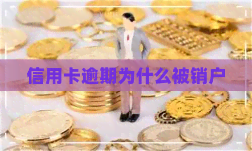 信用卡逾期为什么被销户