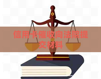 信用卡向法院提交材料