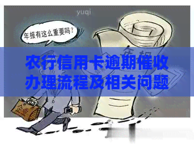 农行信用卡逾期办理流程及相关问题解答
