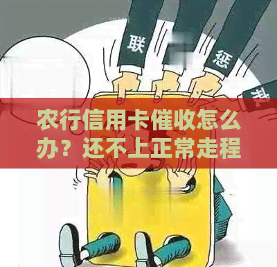 农行信用卡怎么办？还不上正常走程序怎么走的？