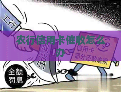 农行信用卡怎么办