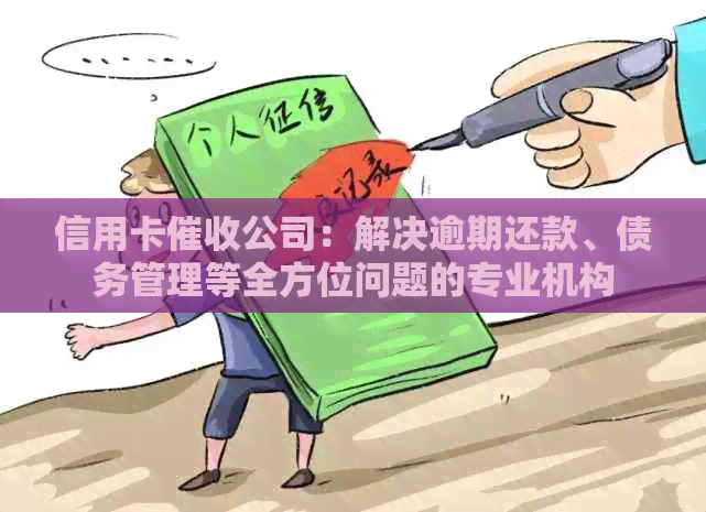 信用卡公司：解决逾期还款、债务管理等全方位问题的专业机构