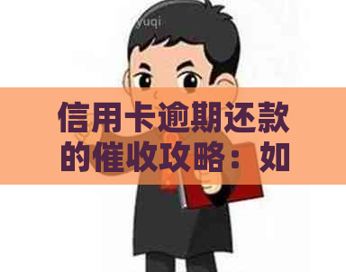 信用卡逾期还款的攻略：如何成为一名高效的客服专员？