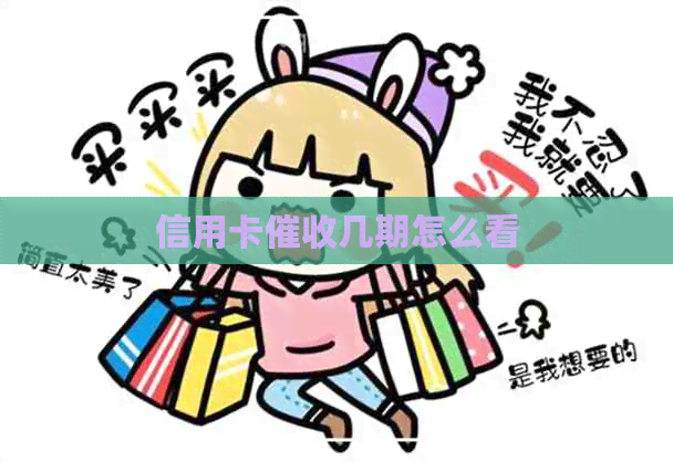 信用卡几期怎么看