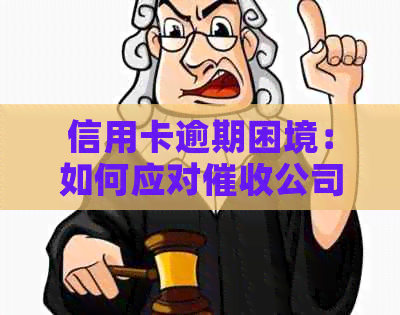信用卡逾期困境：如何应对公司的追讨