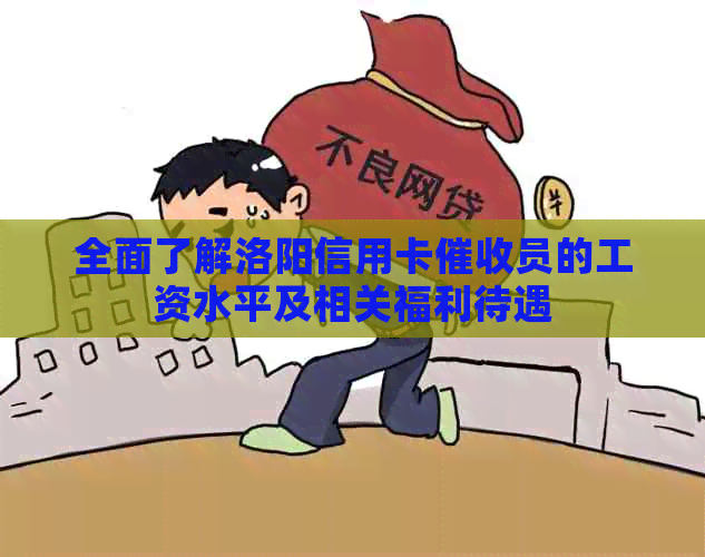 全面了解洛阳信用卡员的工资水平及相关福利待遇