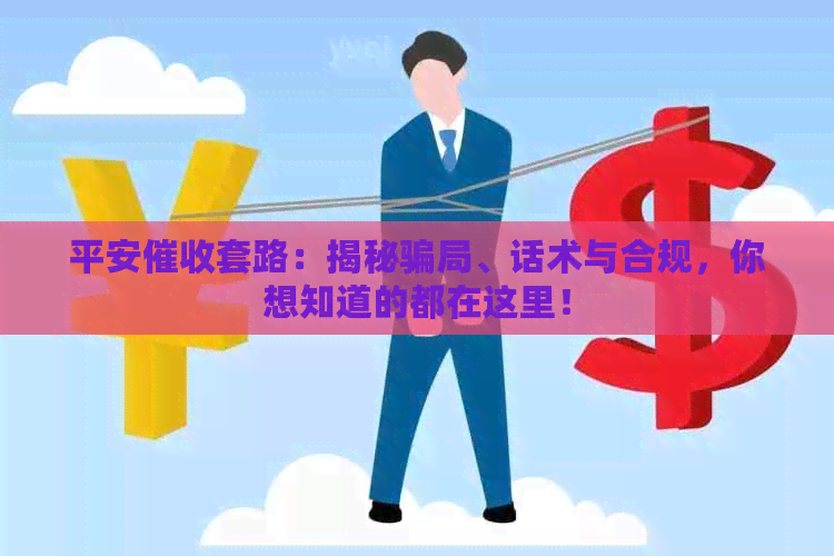 平安套路：揭秘骗局、话术与合规，你想知道的都在这里！