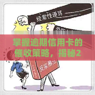 掌握逾期信用卡的策略，揭秘2021年银行工作前景