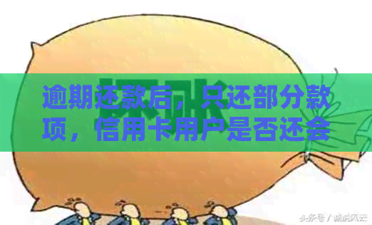 逾期还款后，只还部分款项，信用卡用户是否还会面临起诉风险？