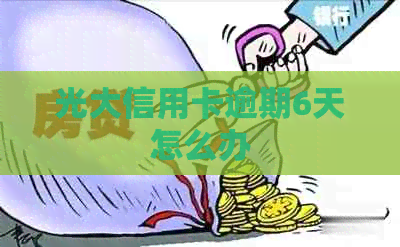 光大信用卡逾期6天怎么办