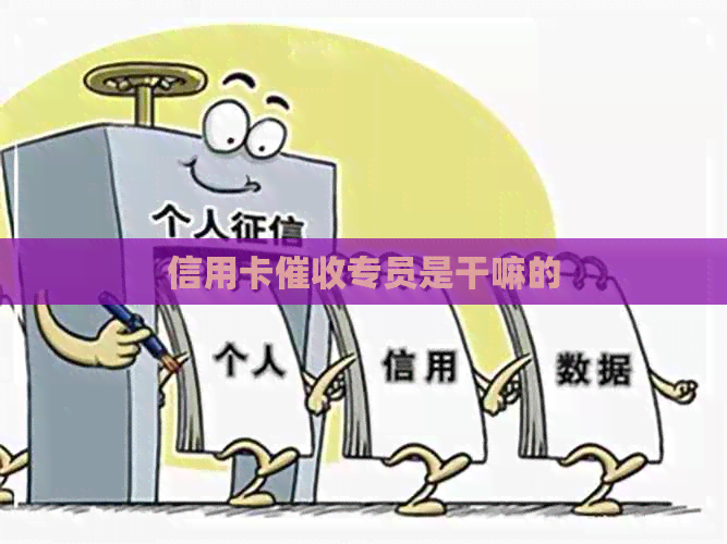 信用卡专员是干嘛的
