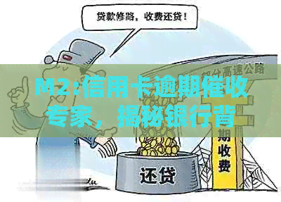 M2:信用卡逾期专家，揭秘银行背后的债务解决之道