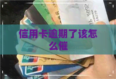 信用卡逾期了该怎么催