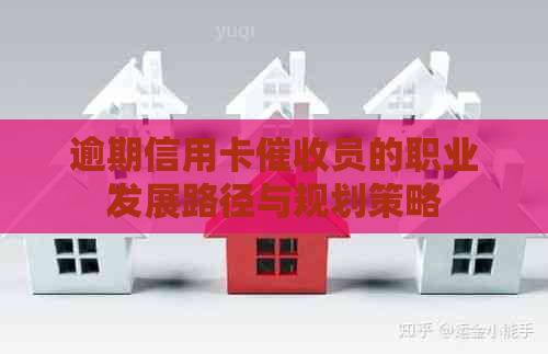 逾期信用卡员的职业发展路径与规划策略