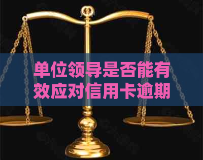 单位领导是否能有效应对信用卡逾期电话？