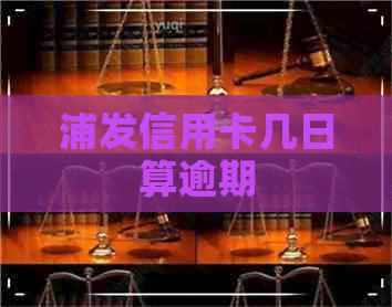 浦发信用卡几日算逾期