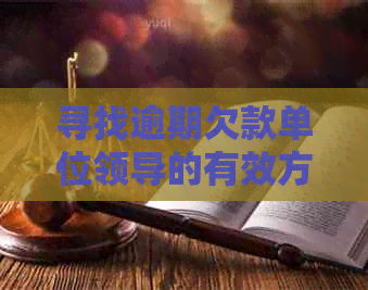 寻找逾期欠款单位领导的有效方法：避免不必要的与电话