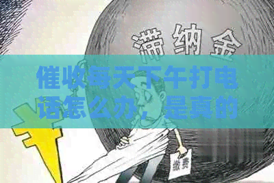 每天下午打电话怎么办，是真的吗？