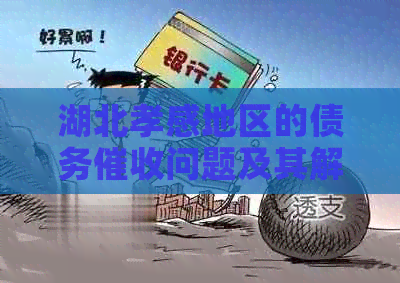 湖北孝感地区的债务问题及其解决方案全面解析