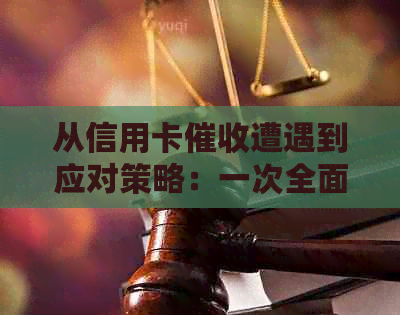 从信用卡遭遇到应对策略：一次全面的解析与建议