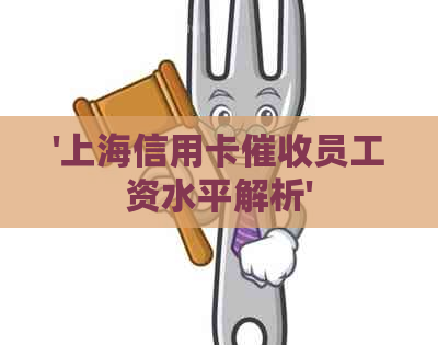 '上海信用卡员工资水平解析'