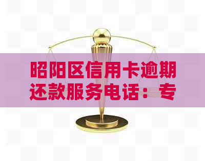 昭阳区信用卡逾期还款服务电话：专业解决您的财务困扰