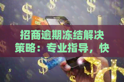 招商逾期冻结解决策略：专业指导，快速解冻