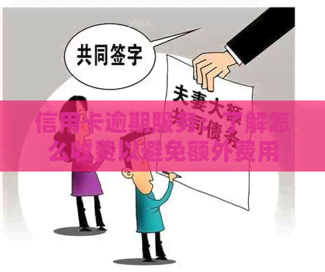 信用卡逾期服务：了解怎么收费以避免额外费用