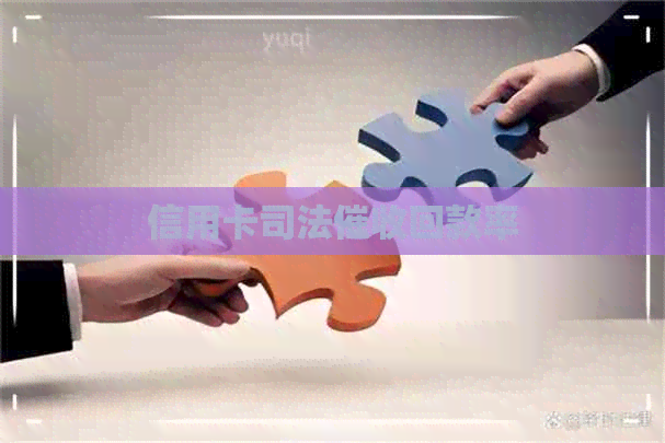 信用卡司法回款率