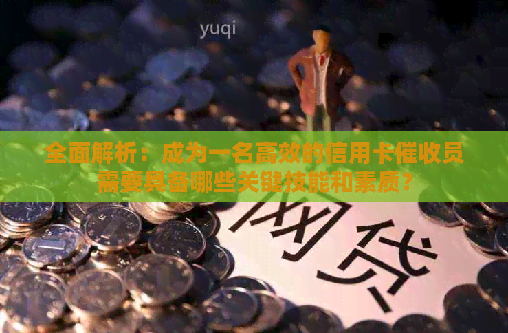 全面解析：成为一名高效的信用卡员需要具备哪些关键技能和素质？