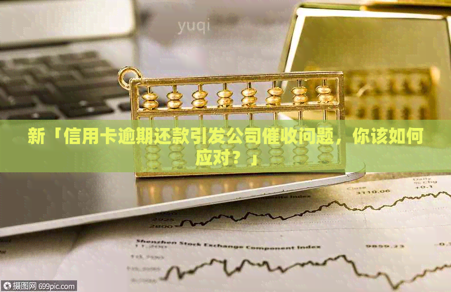 新「信用卡逾期还款引发公司问题，你该如何应对？」