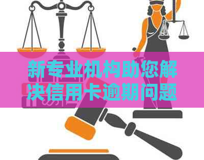 新专业机构助您解决信用卡逾期问题，合法合规快速回款