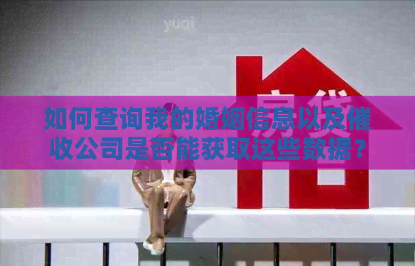 如何查询我的婚姻信息以及公司是否能获取这些数据？