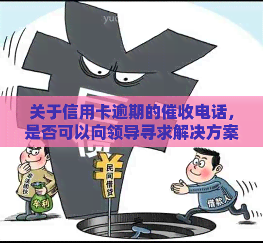 关于信用卡逾期的电话，是否可以向领导寻求解决方案？