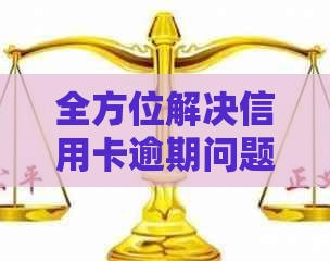全方位解决信用卡逾期问题：上海信用卡外包电话服务详解及常见问答