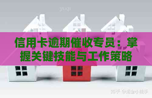 信用卡逾期专员：掌握关键技能与工作策略