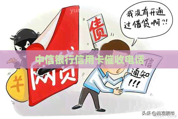 中信银行信用卡电话