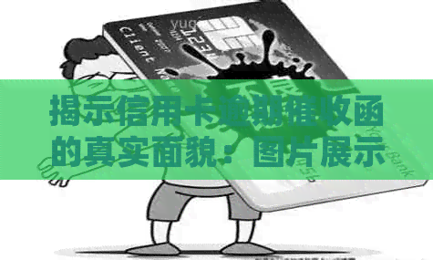 揭示信用卡逾期函的真实面貌：图片展示与常见样式对比