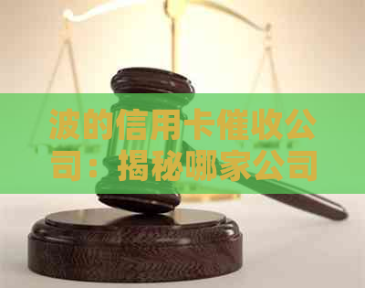 波的信用卡公司：揭秘哪家公司在波信用卡领域独领     