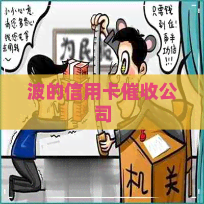 波的信用卡公司