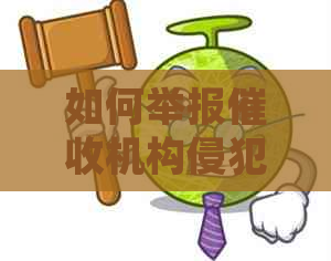 如何举报机构侵犯隐私行为？详细步骤和注意事项