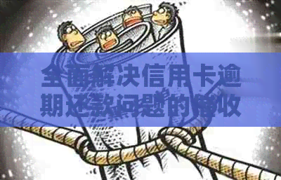 全面解决信用卡逾期还款问题的公司及其服务详解