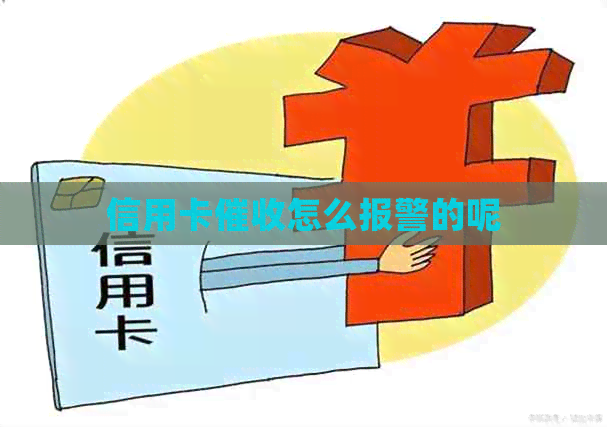 信用卡怎么报警的呢