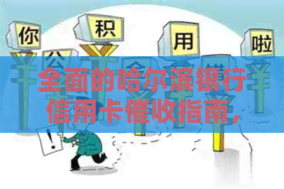 全面的哈尔滨银行信用卡指南，解决用户可能遇到的各种问题
