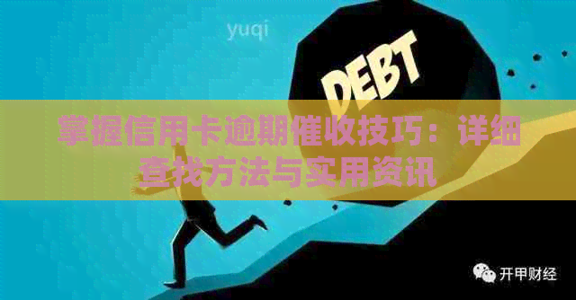 掌握信用卡逾期技巧：详细查找方法与实用资讯