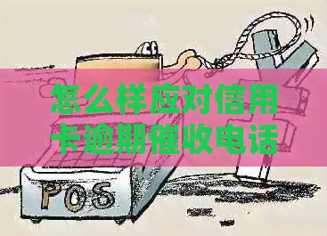 怎么样应对信用卡逾期电话问题，是银行号还是个人号，怎么投诉？