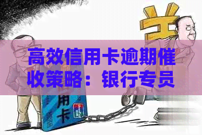 高效信用卡逾期策略：银行专员实战经验分享