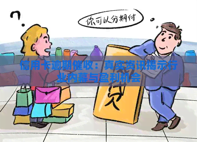 信用卡逾期：真实资讯揭示行业内幕与盈利机会