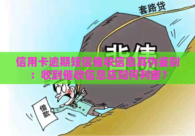 信用卡逾期短信信息真伪鉴别：收到信息应如何判断？